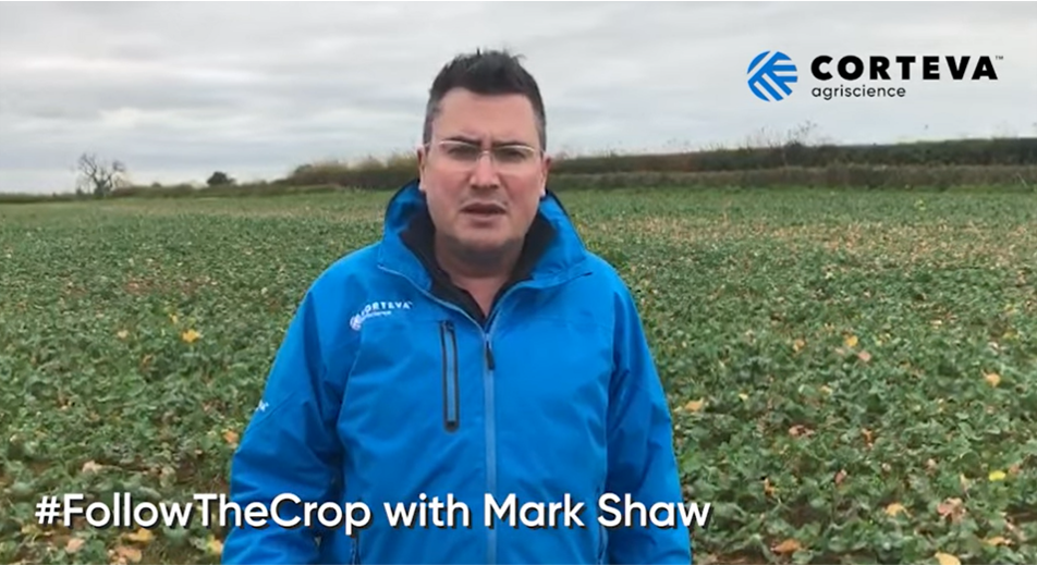 Mark Shaw Follow the Crop image