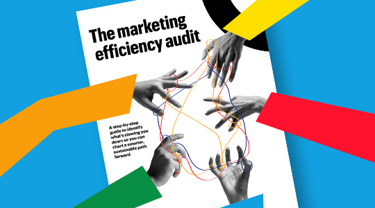 Quad guide cover The marketing efficiency audit