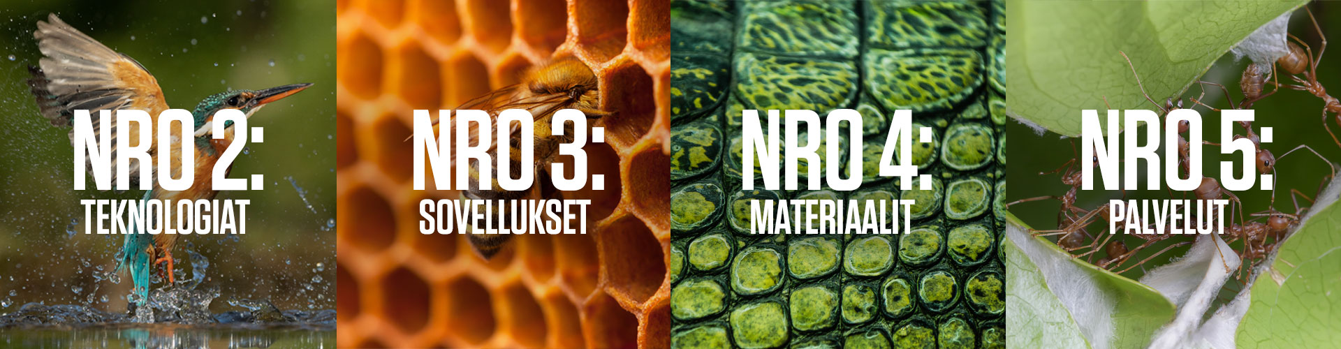 Lisää ihmeitä ja teknisiä innovaatioita tulossa marraskuussa 2020