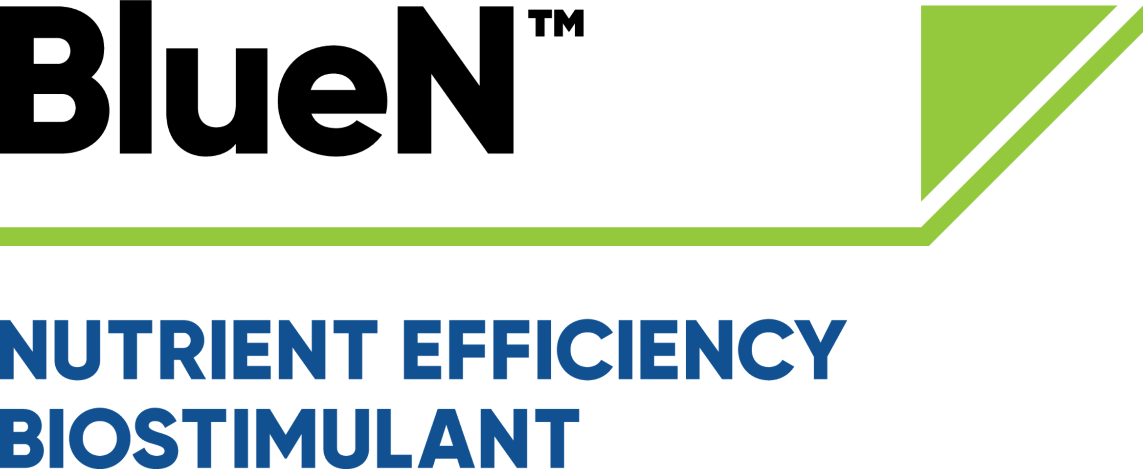BlueN product logo