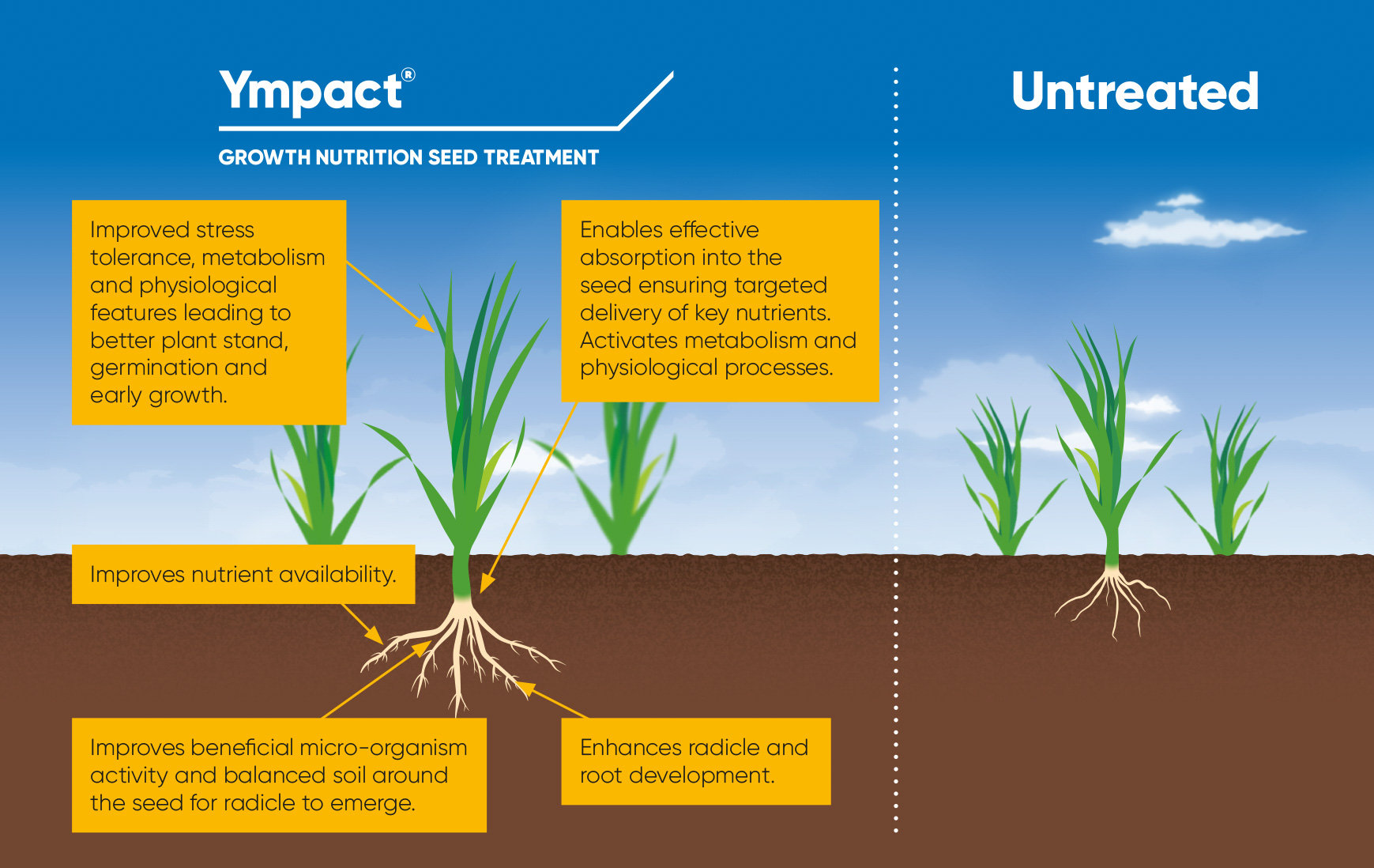Ympact - growth nutrition seed treatment