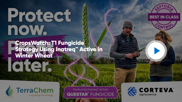 T1 fungicide strategy using Inatreq active in winter wheat
