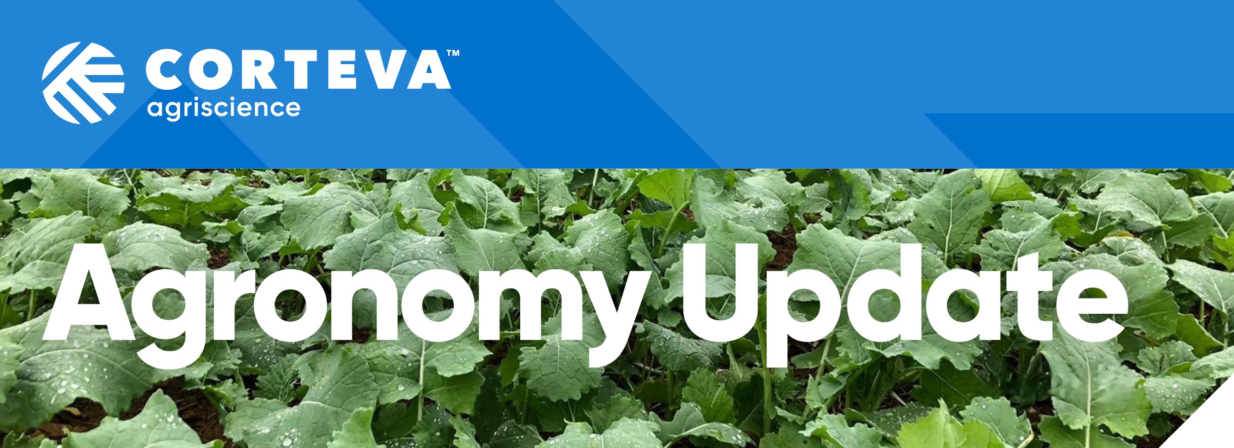 Agronomy update oilseed rape header