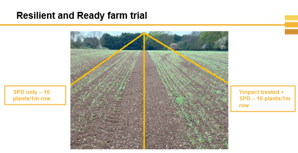 Resilient and Ready farm trial