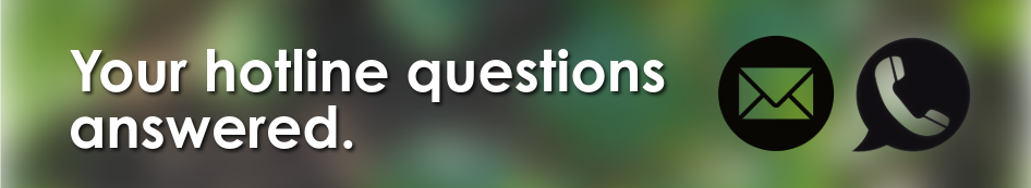 Hotline questions answered