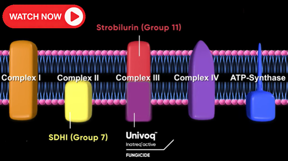 Watch the video on resistance management