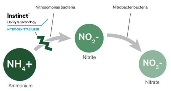 Instinct nitrogen stabiliser