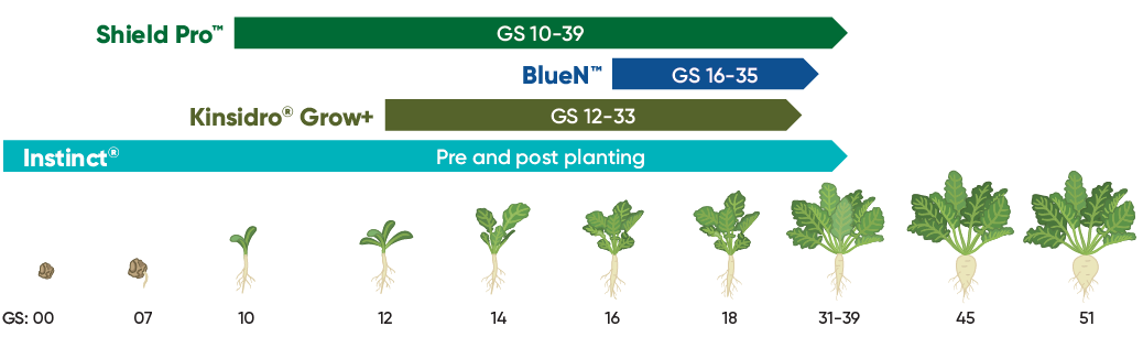 growth stage