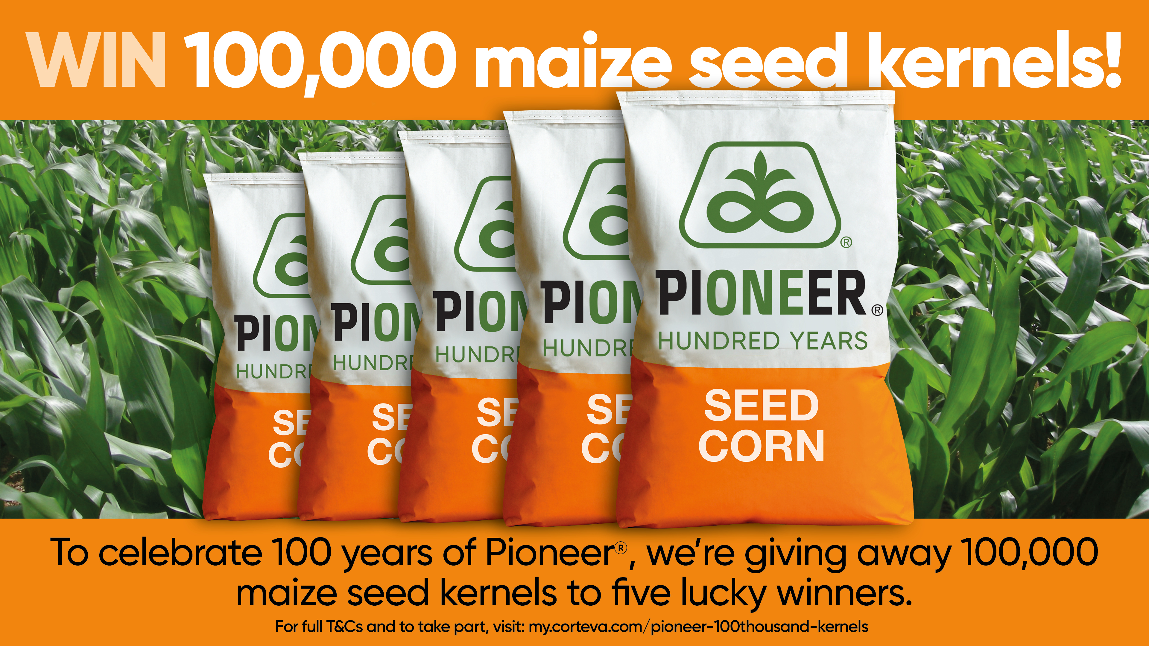 Win 100,000 maize seed kernels!
