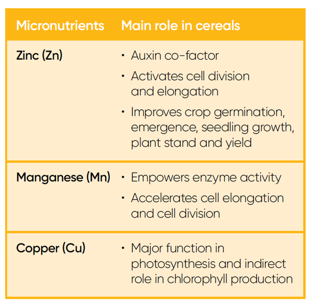 Micronutrients of Ympact