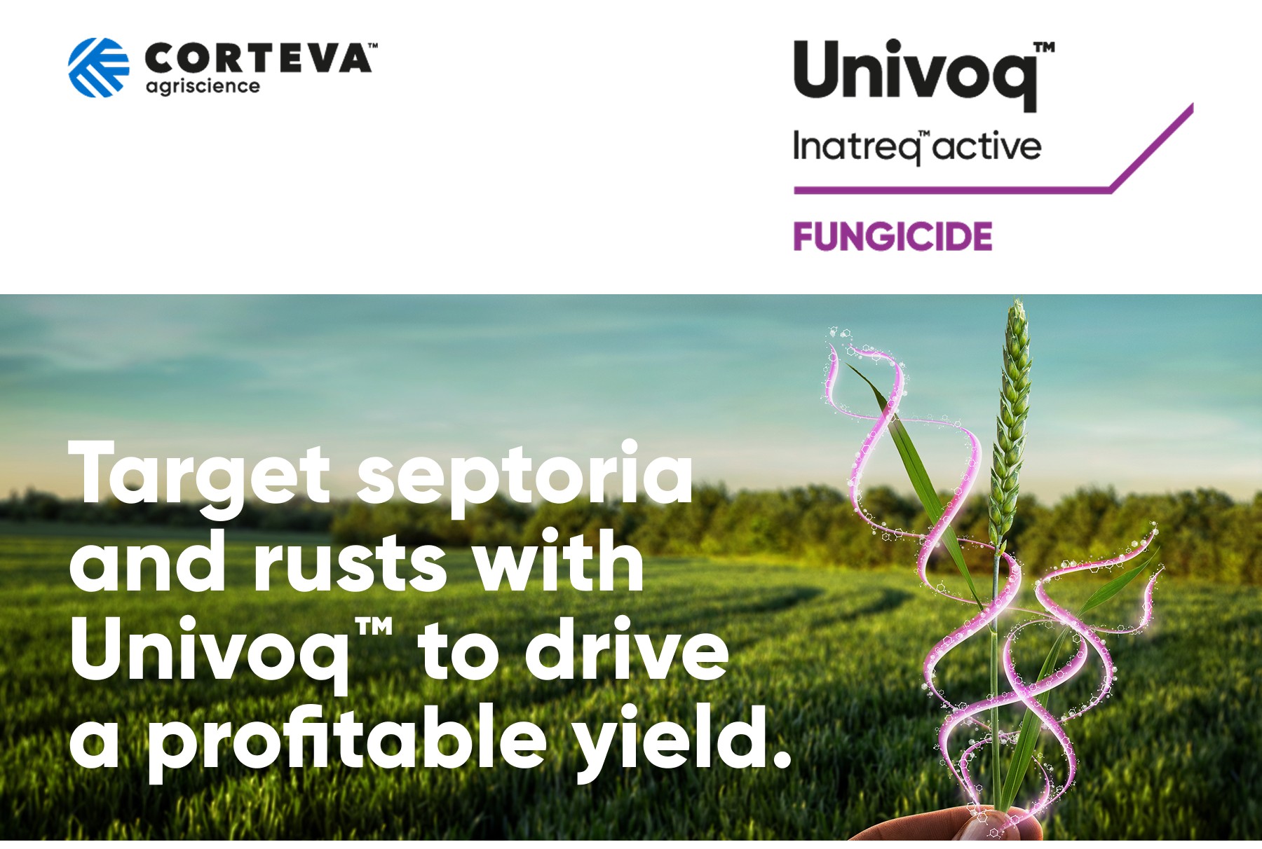 Target septoria and rusts with Univoq to drive a profitable yield
