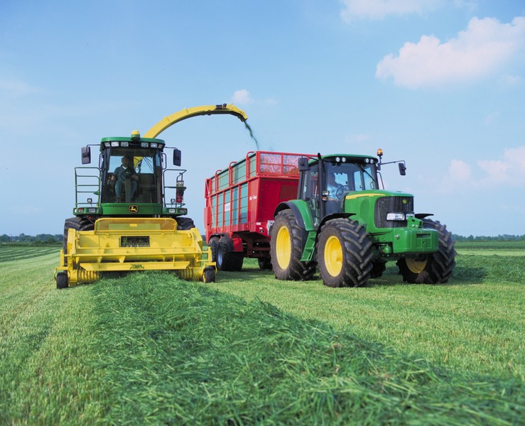 Late-season grass silage