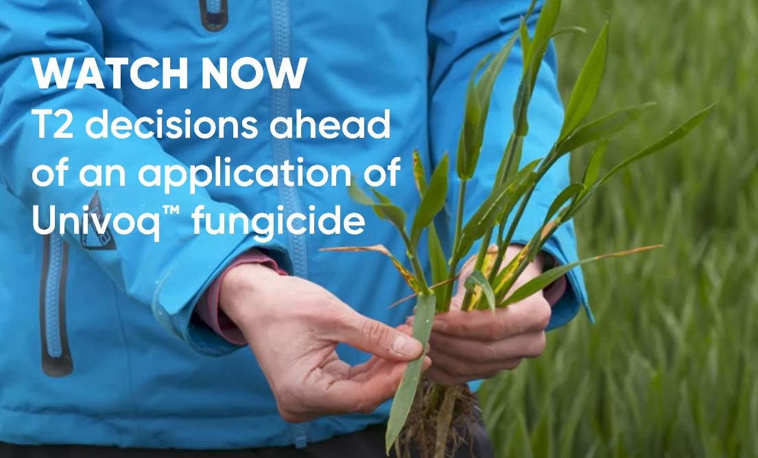 Watch our video on T2 decisions ahead of an application of Univoq
