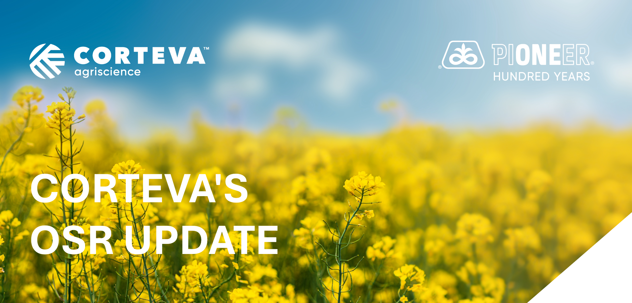 Corteva OSR update
