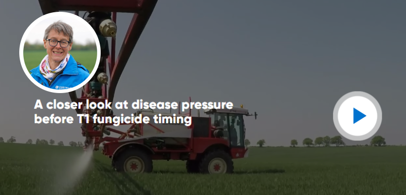 Watch our video on disease pressure before T1 fungicide timing