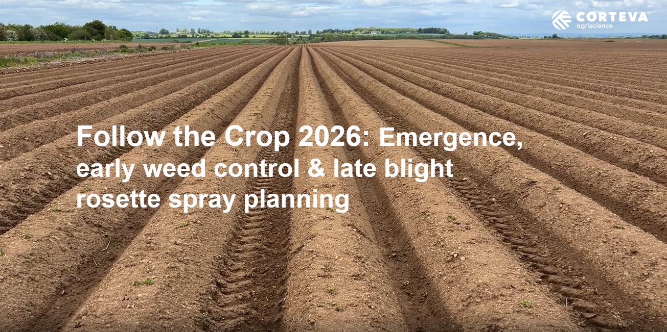 Follow the crop video