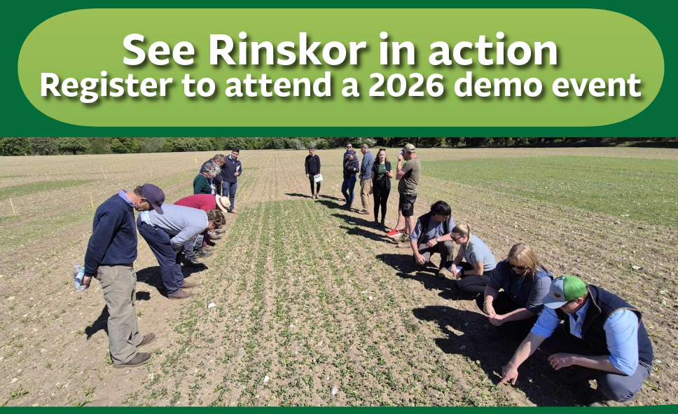Rinskor demo