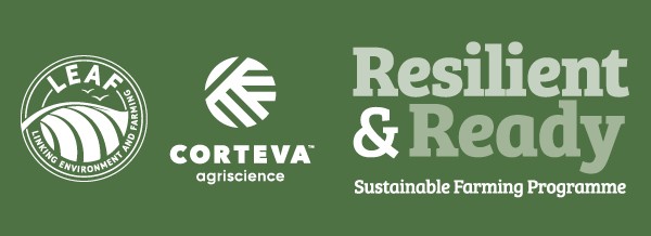 Resilient and Ready Programme