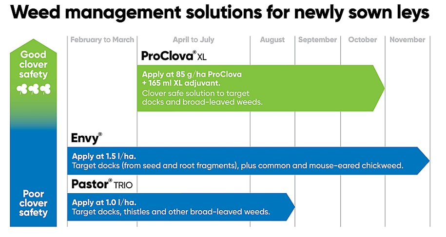 Weed management solutions for newly sewn leys