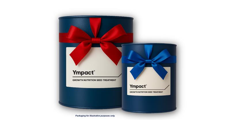 Ympact hamper