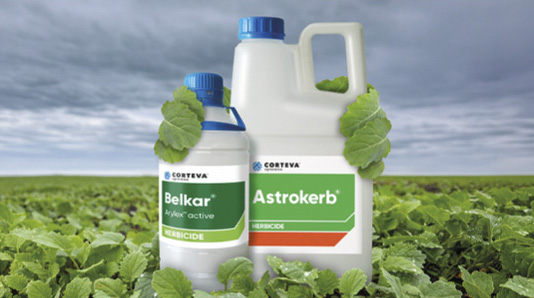 Belkar Astrokerb programme approach