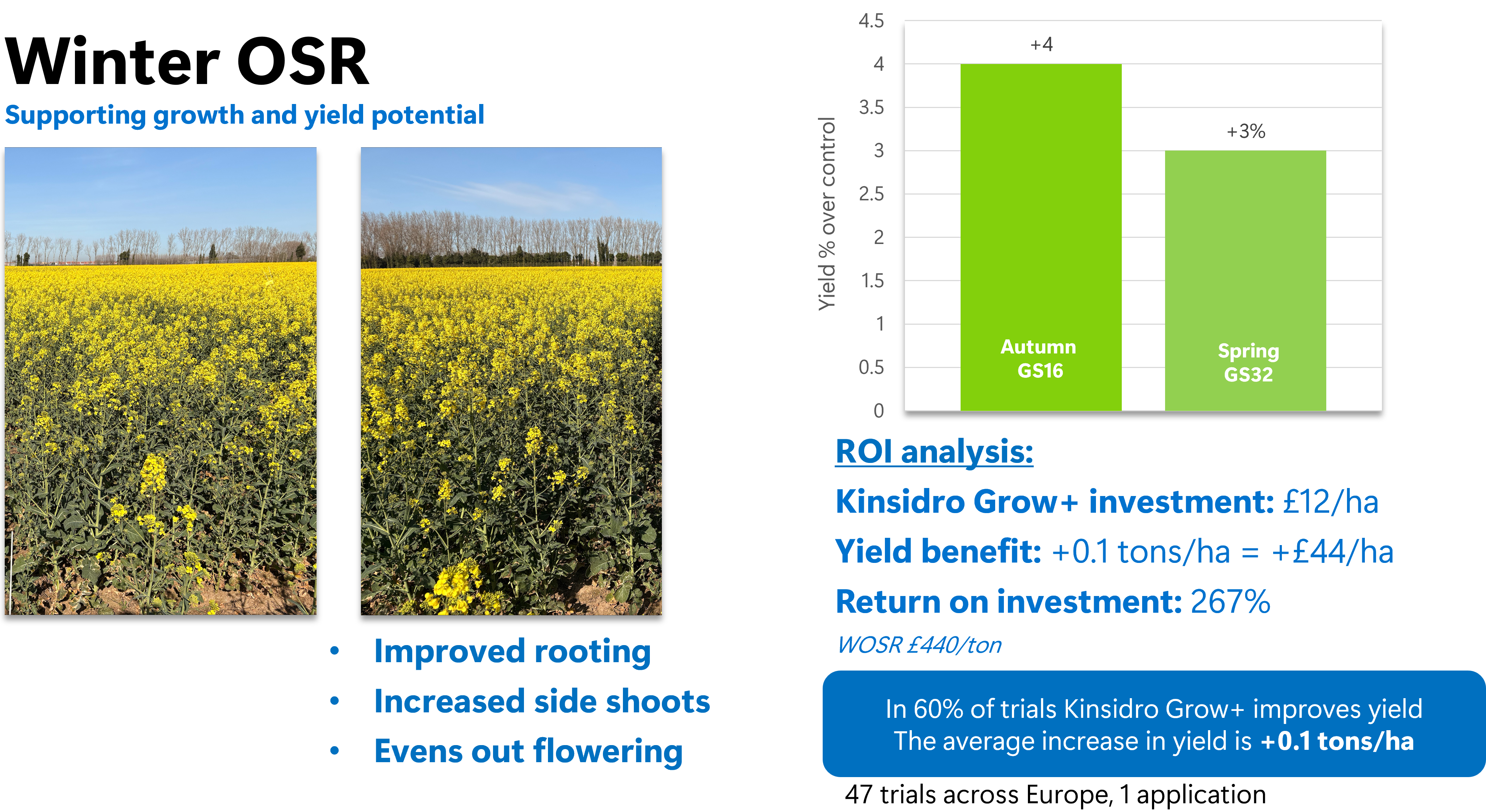 Winter OSR - Kinsidro Grow