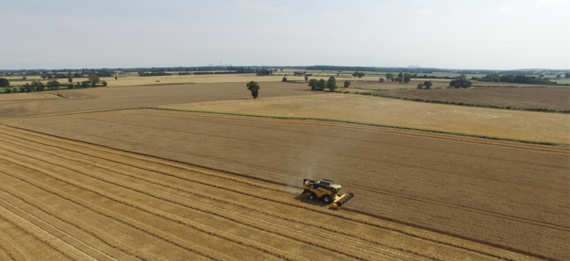 Harvest picture