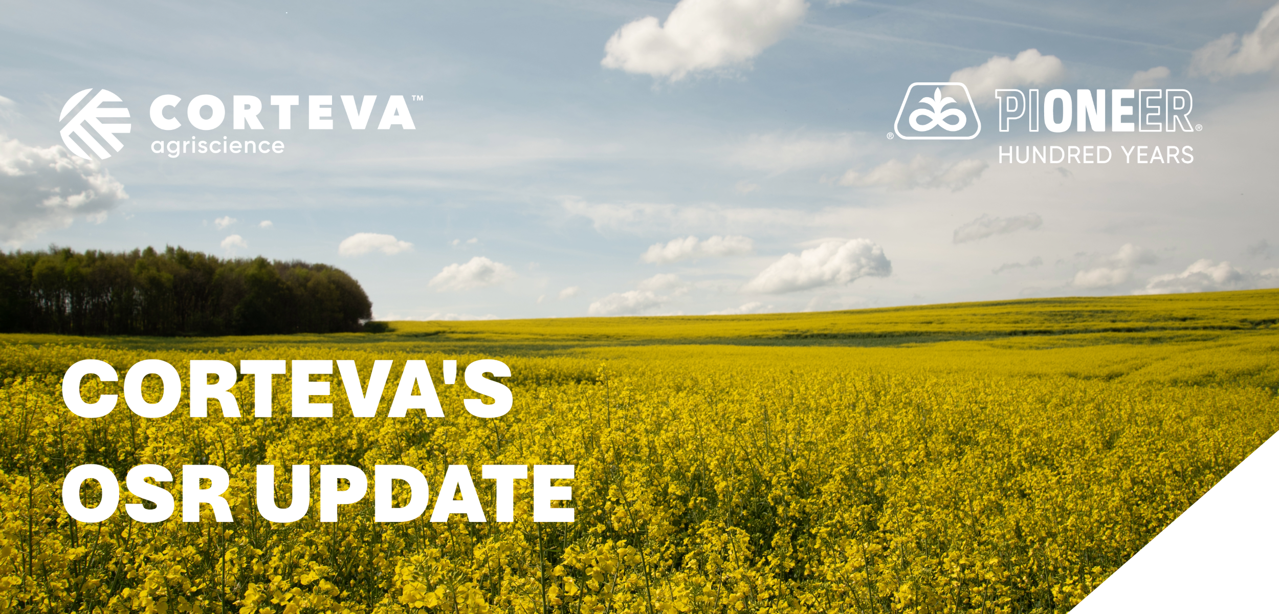 Corteva OSR update