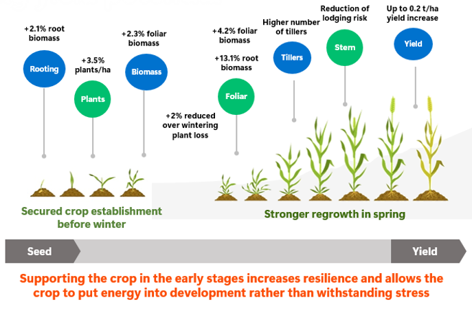 Supporting the crop in the early stages