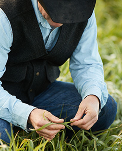 About Corteva Agriscience