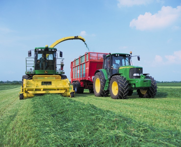 UK drought conditions create challenges for maize harvest and silage quality