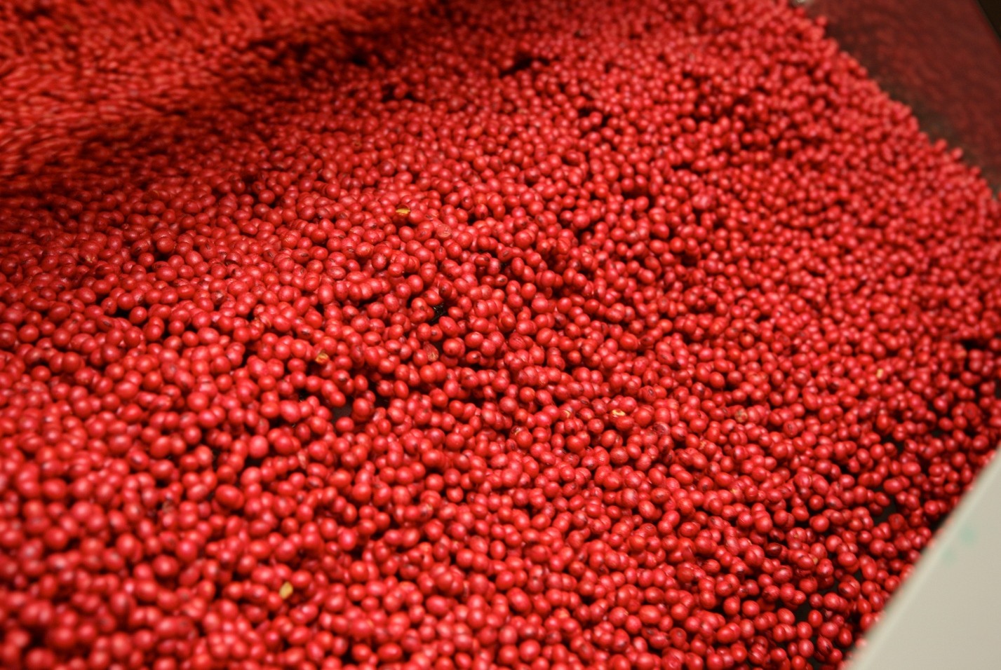 LumiGEN seed treatment