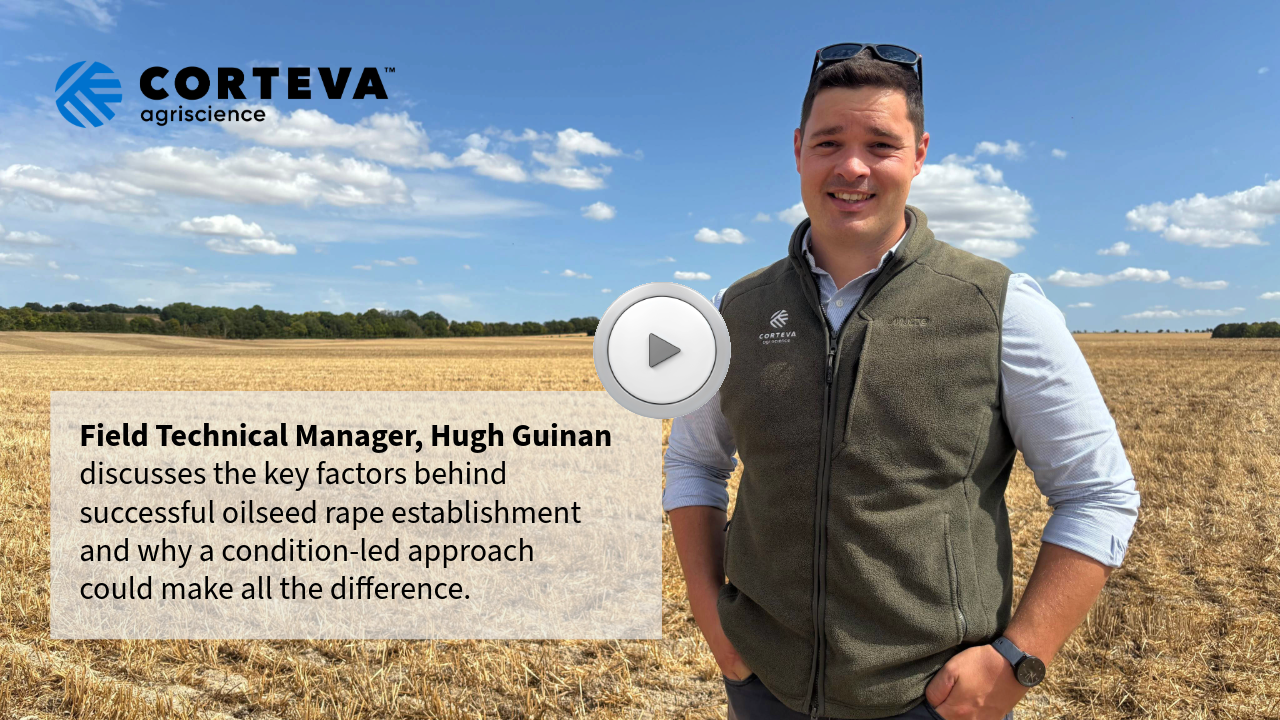 Hugh's video with advice for OSR growers