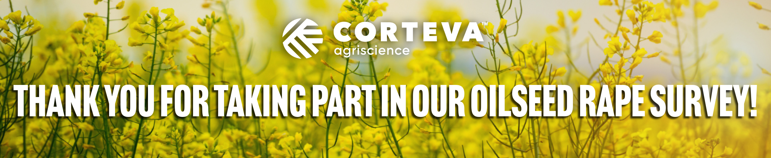 Thank you for taking part in our OSR survey!