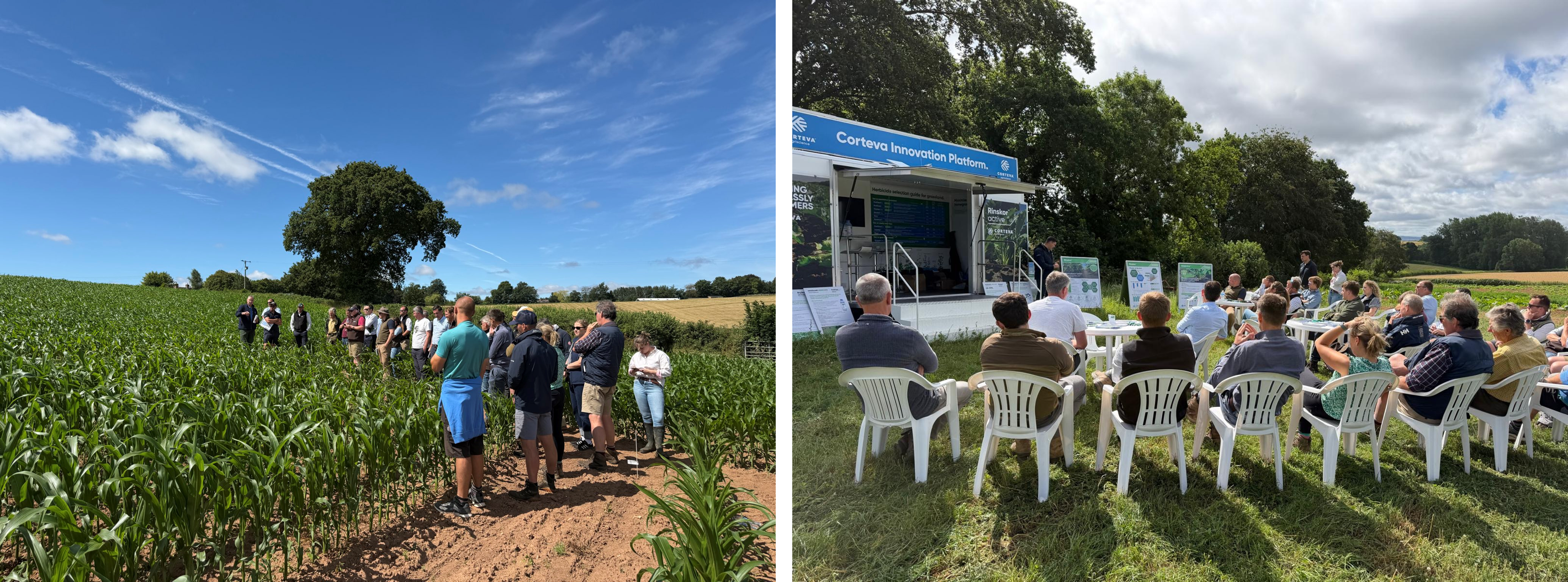 South West Forage Open Day