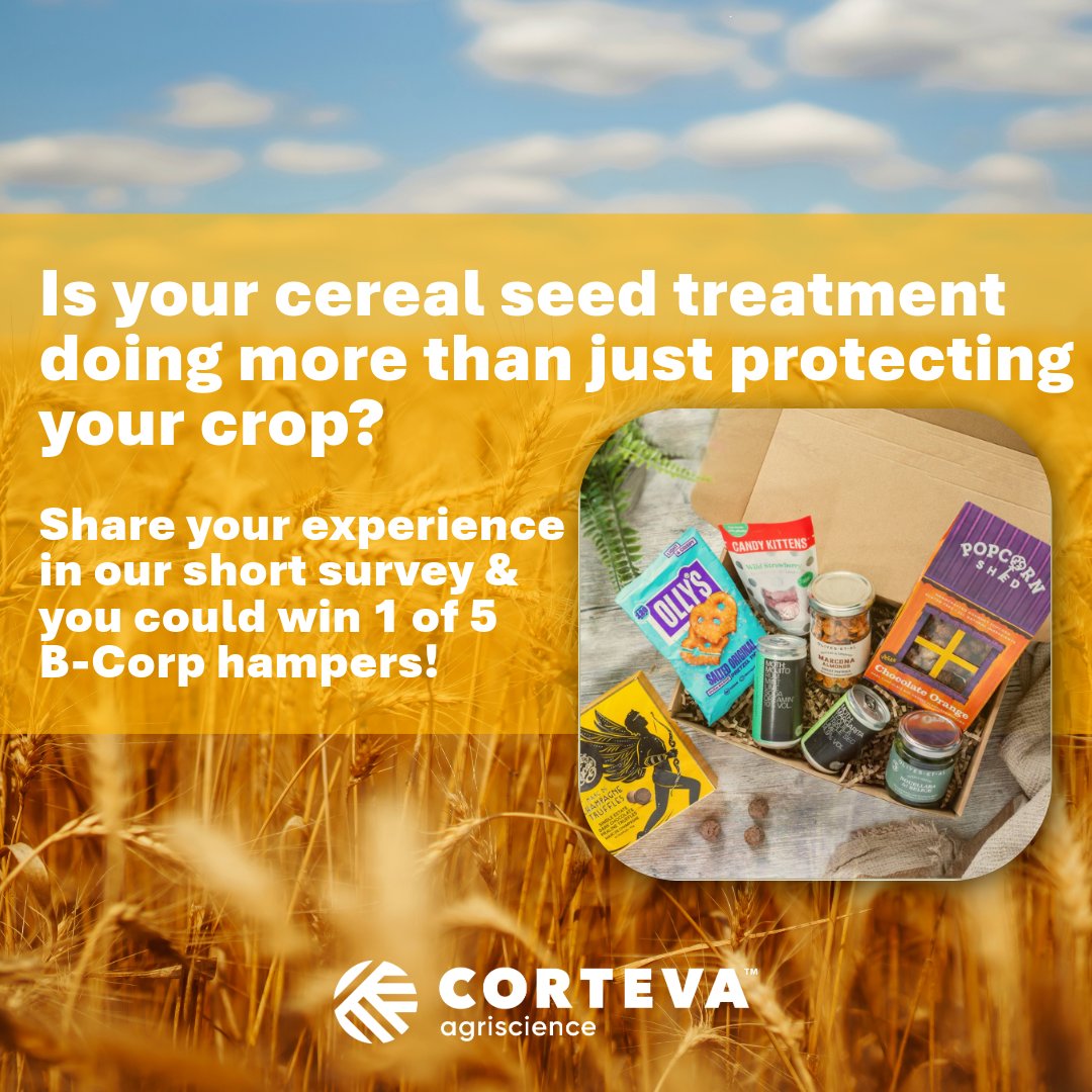 Win 1 of 5 B-Corp hampers!