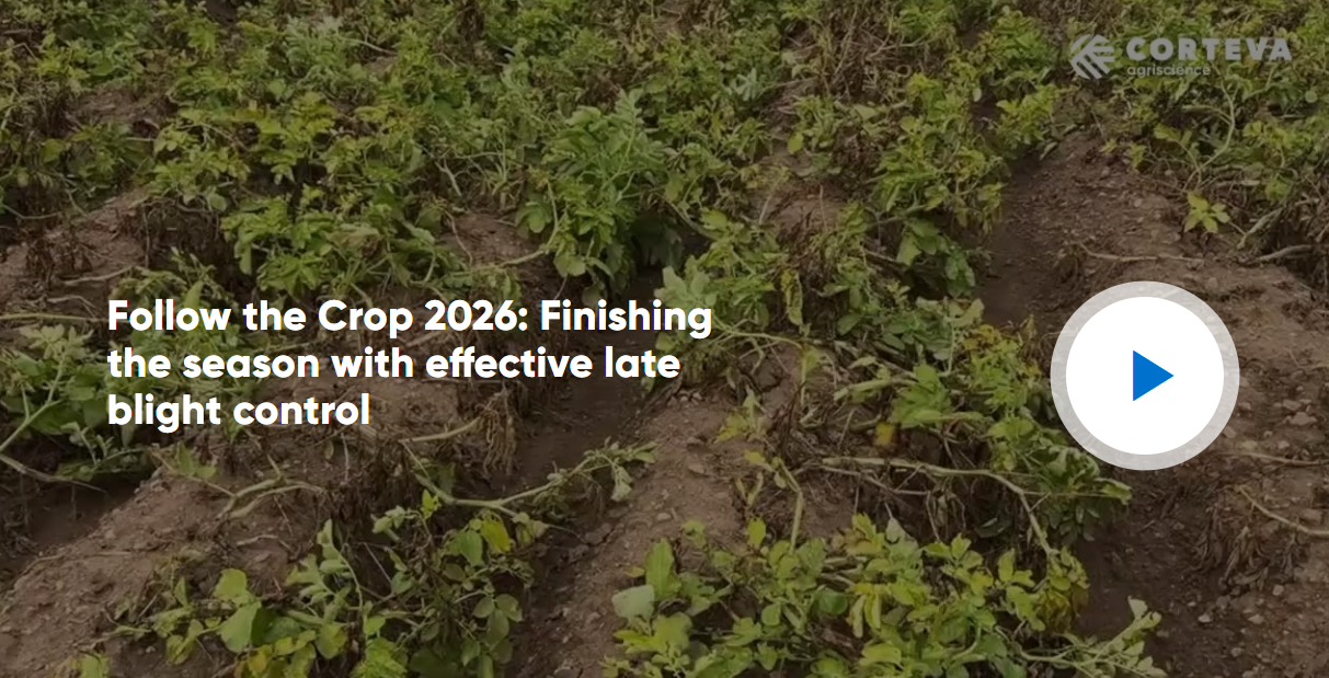 Follow the Crop 2026: Finishing the season with effective late blight control