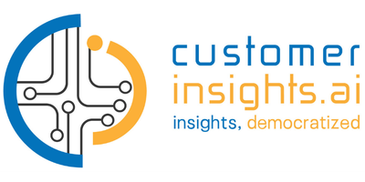 Customer Insights AI