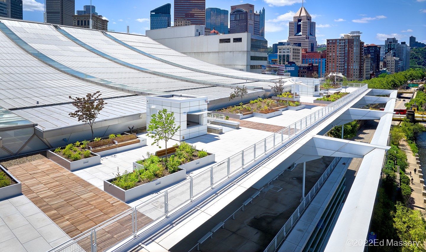 Vegetated Roofs & Amenity Solutions